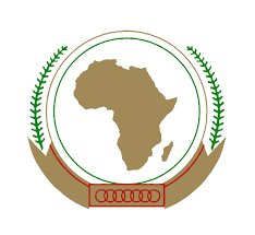 AfSDIMS Logo